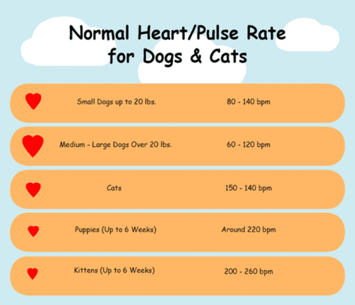 National HeartPulse Rate for Dogs & Cats